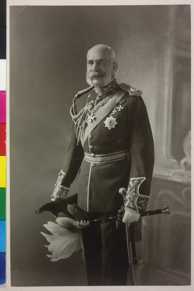 Franz Joseph I by Carl Pietzner