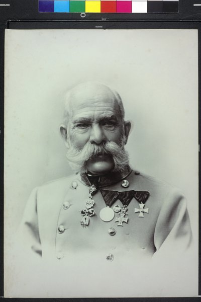 Franz Joseph I by Carl Pietzner