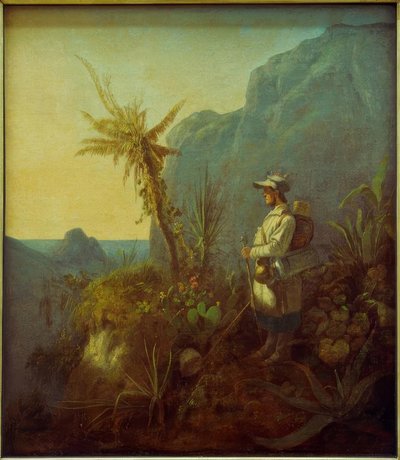 The Naturalist in the Tropics by Carl Spitzweg