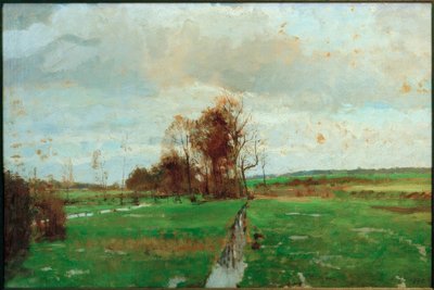 Wet Meadows by Carl Vinnen