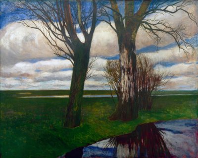 Moorland by Carl Vinnen