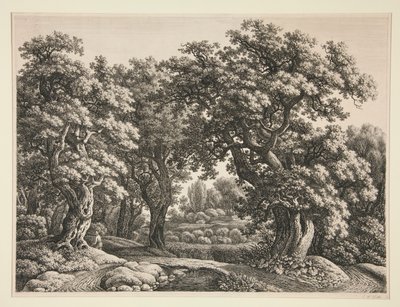 Forest Landscape by Carl Wilhelm Kolbe the elder