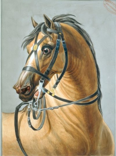 Bridle for Artillery Horses by Carle Vernet