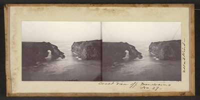 Coast View off Mendocino by Carleton Watkins