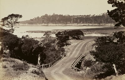 Coast View near Monterey by Carleton Watkins