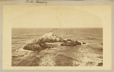 Seal Rocks by Carleton Watkins