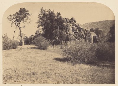 Tower Rock - North View by Carleton Watkins