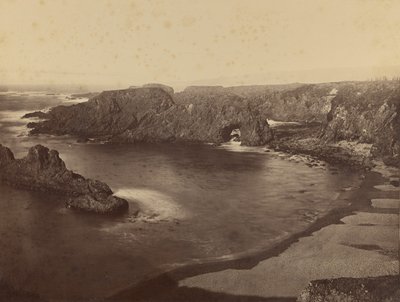 View of the Pacific Coast / Mendocino Coast by Carleton Watkins