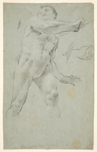 Male Nude by Carlo Bononi