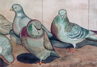 Pigeons by Carolyn Hubbard Ford