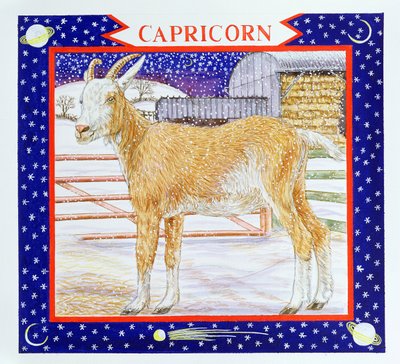 Capricorn by Catherine Bradbury