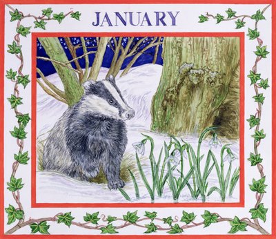 January by Catherine Bradbury