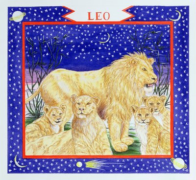 Leo by Catherine Bradbury