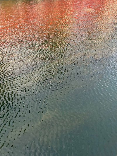 Composition - Reflections by Cécile Jamet