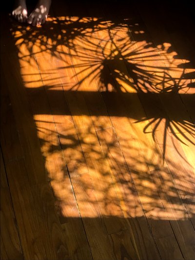 Composition - Shadows by Cécile Jamet