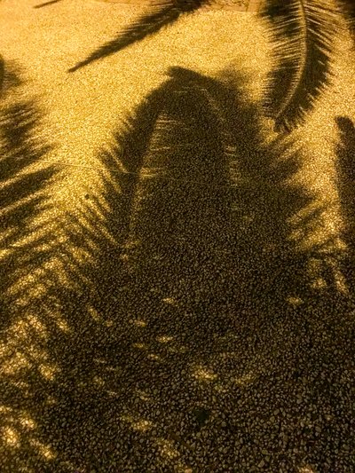 Composition - Shadows by Cécile Jamet
