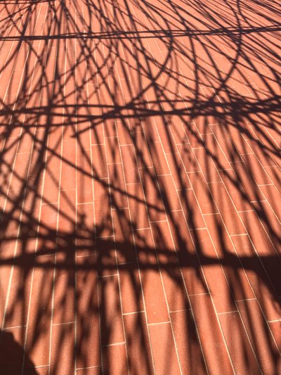Composition - Shadows by Cécile Jamet