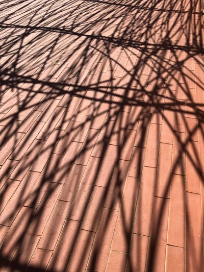 Composition - Shadows by Cécile Jamet