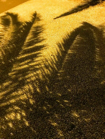 Composition - Shadows by Cécile Jamet