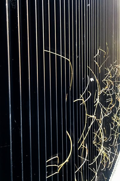 Composition - Street, 2020 by Cécile Jamet
