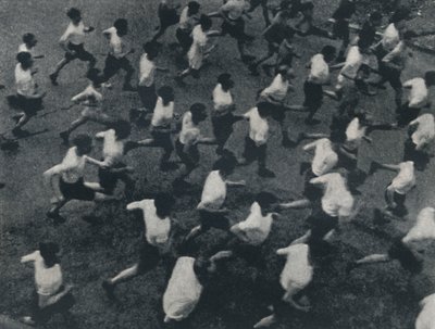 The Field by Cecil Beaton