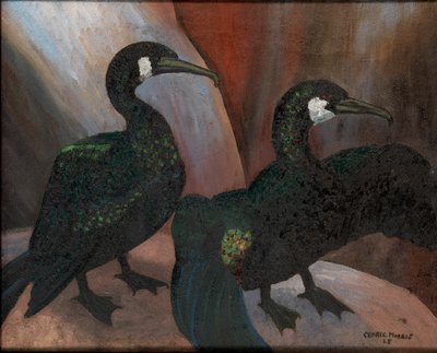 Green Cormorants by Cedric Morris