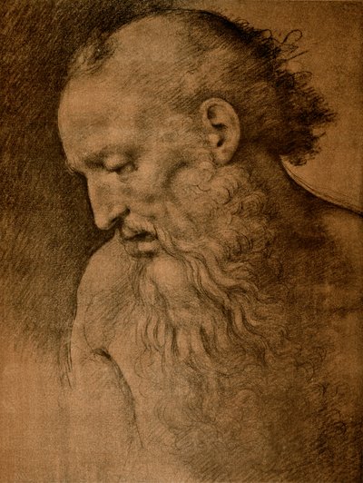 Head to St. Jerome by Cesare da Sesto