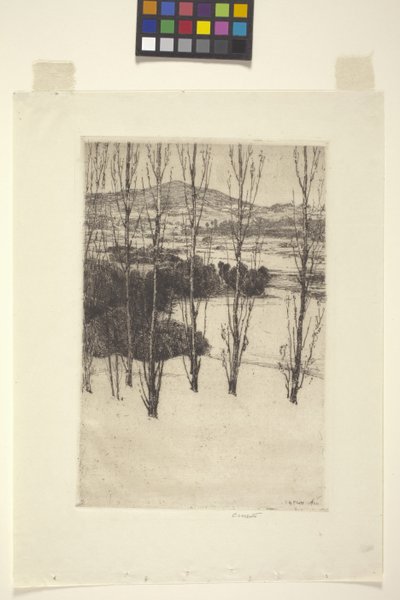 The Mountain by Charles Adams Platt