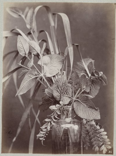 Flower Study with Glass Bottle by Charles Aubry (manner of)