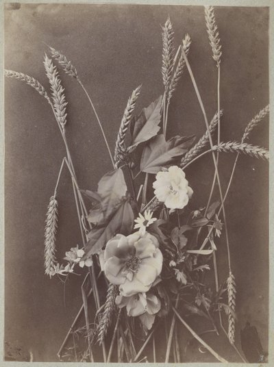 Flower Study with Ears of Corn by Charles Aubry (manner of)