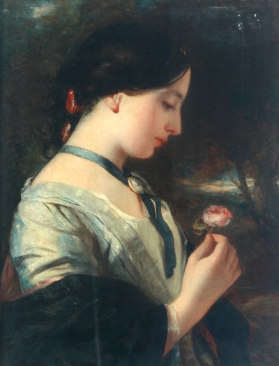 An English Rose by Charles Baxter