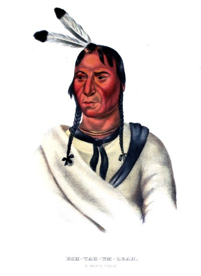 Eshtahumbah (Sleepy Eyes), a Sioux Chief by Charles Bird King