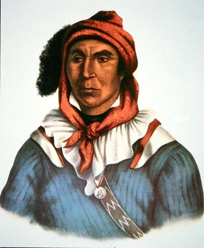 Julcee Mathla by Charles Bird King