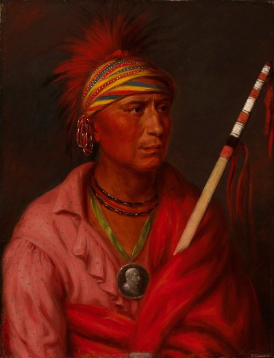 No Heart Nan-che-ning-ga by Charles Bird King