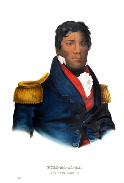 Pushmataha, a Choctaw Warrior by Charles Bird King