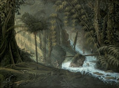 Brazilian Forest by Charles Comte de Clarac