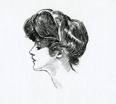 A Gibson Girl, c.1902 by Charles Dana Gibson
