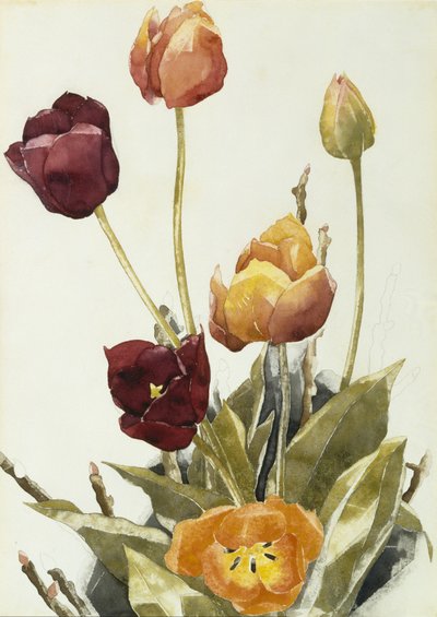 Tulips, 1933 by Charles Demuth