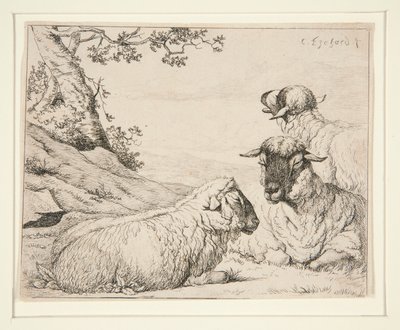 Three Sheep by Charles Echard