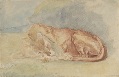 Sleeping Lion by Charles Edmé Saint Marcel Cabin
