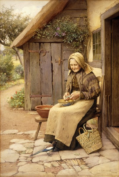 A Fine-Feathered Friend by Charles Edward Wilson
