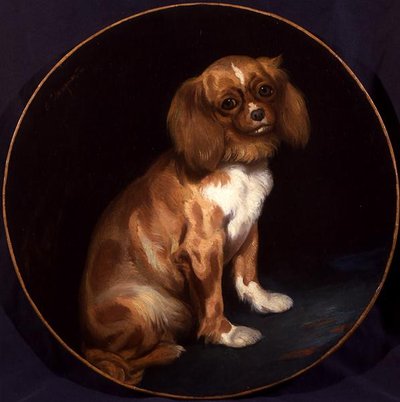 A King Charles Spaniel by Charles Emile Callande de Champmartin