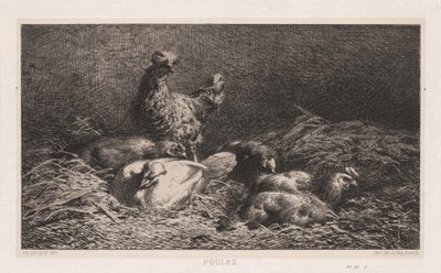 Chickens by Charles Emile Jacque
