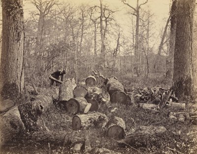 Forest of Fontainebleau by Charles Famin