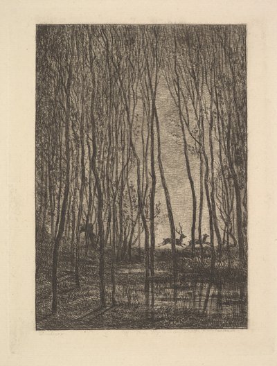 Deer in the Woods by Charles Francois Daubigny