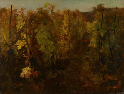 The Vine, 1860-1863 by Charles Francois Daubigny