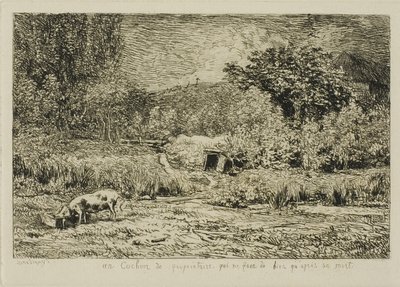 Pig in an Orchard by Charles Francois Daubigny