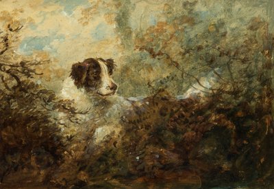 Dog by Charles Henry Schwanfelder