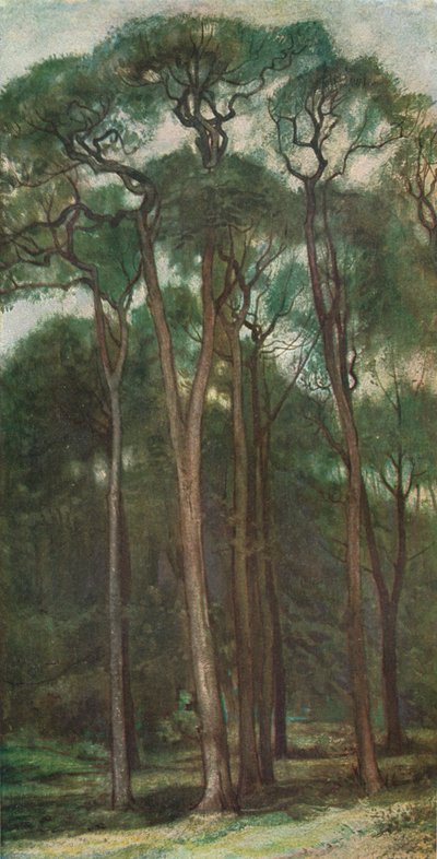 Study of Trees by Charles Holroyd