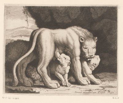 Suckling Lioness (Animal Series) by Charles II Errard (attributed to)